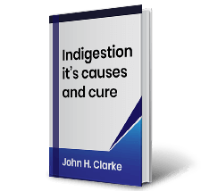 Indigestion its causes and cure by J. H. Clarke